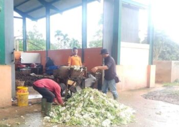 Diolah dari Sampah Organik, DLH Solok Produksi Pupuk Kompos