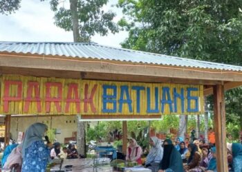 Wujudkan Keluarga Sehat dan Tanggap Bencana, TP-PKK Solok Perkuat Sosialisasi pada Kader