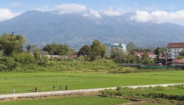 Antisipasi ISPA akibat Erupsi Marapi, Pemkab Agam Bagikan Masker ke Warga