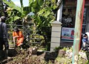 Kerap jadi Tempat Pembuangan Sampah Liar, DLH Solok bikin Taman Mini di Batas Kota