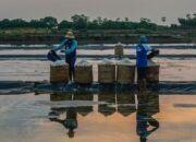 Langkah Nyata BRI Menuju Ekonomi Hijau, Portofolio Pembiayaan Berkelanjutan Capai Rp764,8 Triliun