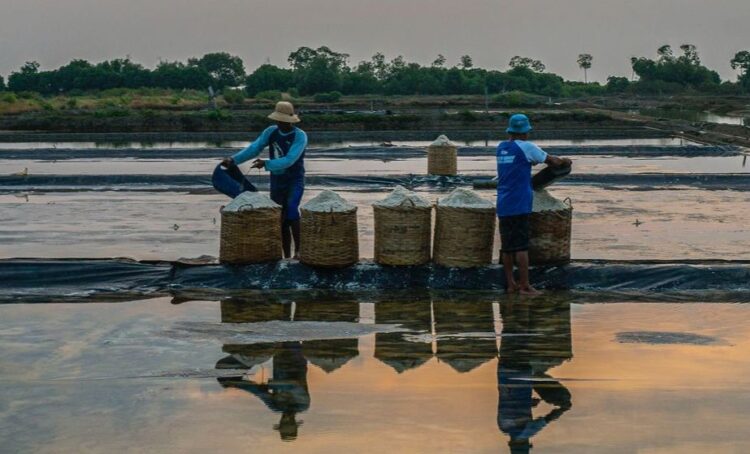 Langkah Nyata BRI Menuju Ekonomi Hijau, Portofolio Pembiayaan Berkelanjutan Capai Rp764,8 Triliun