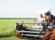 Prabowo Dorong Percepatan Swasembada Pangan Berkelanjutan di Merauke