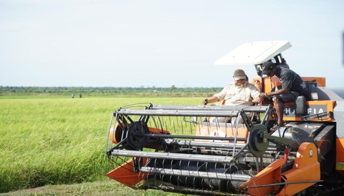 Mentan: Swasembada Pangan Nasional Diperkirakan Tercapai Desember 2025