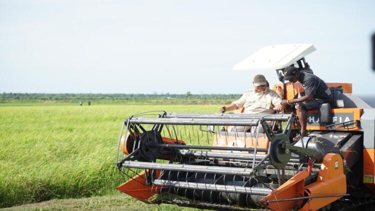 Presiden Prabowo mendorong swasembada pangan di Merauke. (Foto: Dok. Infopublik)