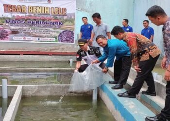 Lapas Suliki Punya Budidaya Lele, jadi Program Pembinaan Napi