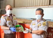 Ekspor Pinang Sumbar ke Pasar Global Tunjukkan Tren Positif