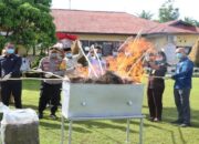 Polres Pasaman Barat Bakar 28,8 Kg Ganja BB Tindak Pidana Narkoba