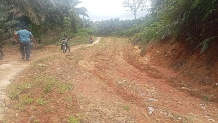 Salah satu jalan menuju daerah Rura Patontang Kecamatan Koto Balingka Kabupaten Pasaman Barat yang masih bertanah. Daerah ini masih terisolasi dan salah satu prioritas KPU mendahulukan pendistribusian logistik Pilkada 2024. (ANTARAAltas Maulana).