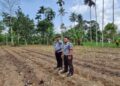 Dukung Ketahanan Pangan, Lapas Suliki Siapkan Lahan Produktif 850 Ha