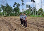 Dukung Ketahanan Pangan, Lapas Suliki Siapkan Lahan Produktif 850 Ha