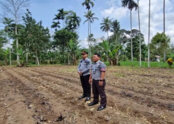 Dukung Ketahanan Pangan, Lapas Suliki Siapkan Lahan Produktif 850 Ha