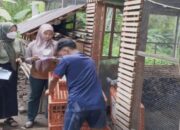 Pemkot Pariaman Upayakan Peningkatan Populasi Ayam pada 2025