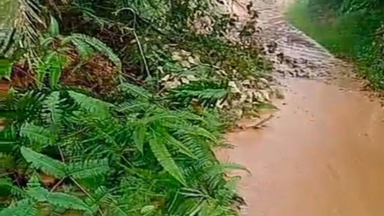 Jalan Watas-Bancah Laweh Pasaman Diterjang Longsor, Akses Lalu Lintas Terganggu 1 Tanah longsor di ruas Jalan Lubuk Sikaping -Tigo Nagari via Simpati (Bancah Laweh) sebanyak 3 titik di Nagari Simpang Utara Kecamatan Simpati Kabupaten Pasaman, Minggu. (Foto: Istimewa)