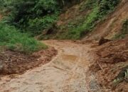 Usai Pembersihan Material Longsor, Jalan Bancah Laweh Pasaman kembali Bisa Dilalui