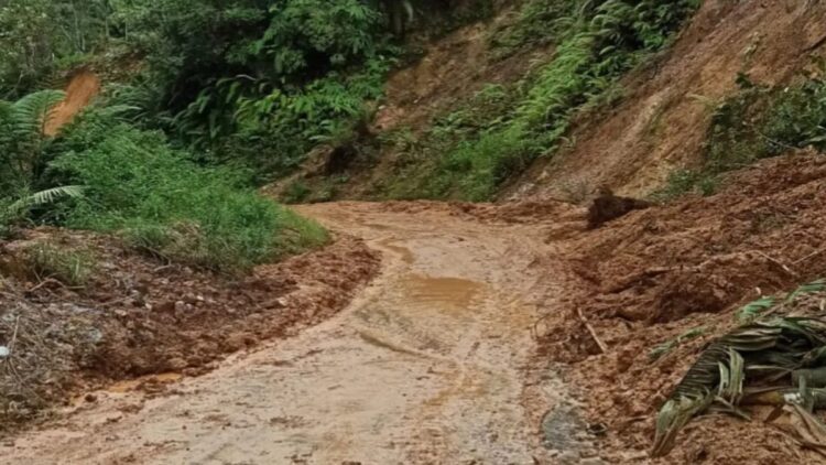 Usai Pembersihan Material Longsor, Jalan Bancah Laweh Pasaman kembali Bisa Dilalui 1 Usai pembersihan material longsor di ruas jalan Bancah Laweh Nagari Simpang Utara, Kecamatan Simpati, Pasaman, Senin. (Foto: Istimewa)