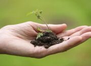 Planting Hope International, Pentingnya Pendidikan Pertanian untuk Generasi Mendatang