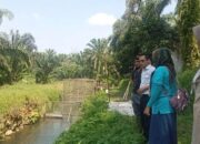 Produksi Ikan Pasaman Barat hingga Oktober 2024 Capai 87.117 ton