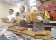 Polres Pasaman Barat Amankan 30 Kilogram Ganja Siap Edar