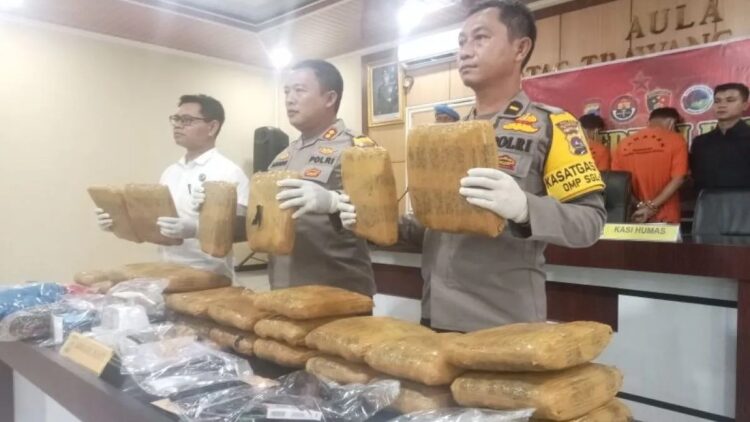 Polres Pasaman Barat Amankan 30 Kilogram Ganja Siap Edar 1 Kapolres Pasbar perlihatkan barang bukti 30 kg ganja. (dok. istimewa)