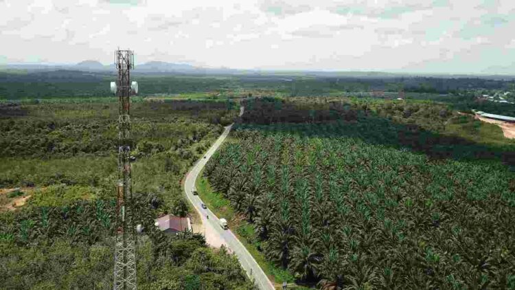 Telkomsel Hyper AI Terapkan Teknologi Self-Adaptive Feedback Terbaru Bersama ZTE untuk Perkuat Jaringan 4G di Makassar dan Kendari 1 Teknologi Self-Adaptive Feedback kini melayani lebih dari 300 ribu pelanggan Telkomsel di lebih dari 90 site, dengan rencana ekspansi ke seluruh jaringan Telkomsel-ZTE di Indonesia. (dok. Telkomsel)