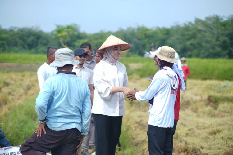 Hadiri Panen Raya di Nagari Tiumang, Cabup Annisa Diminta Perjuangkan Kuota Pupuk untuk Dharmasraya