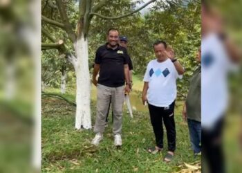 Irjen Pol (Purn) Syafrizal Ahiar bersama durian specialist Ike Rusman saat berada di ladang durian Musang King kawasan Lubuk Minturun, Kota Padang. (dok. tangkapan layar)