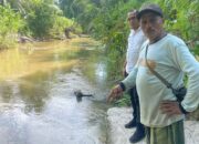 Pemprov Sumbar Sebar Ratusan Ribu Bibit Ikan Gariang Kepada Masyarakat