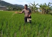 Dukung Swasembada Pangan, Polisi di Padang Ini Beri Bantuan 150 Kilogram Pupuk ke Petani