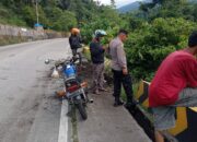 Truk Batu Bara Rem Blong Masuk ke Dalam Jurang di Lubuk Paraku