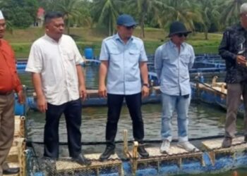 Perkuat Ketahanan Pangan, Pemko Solok Terus Dorong Eksistensi Pokdakan
