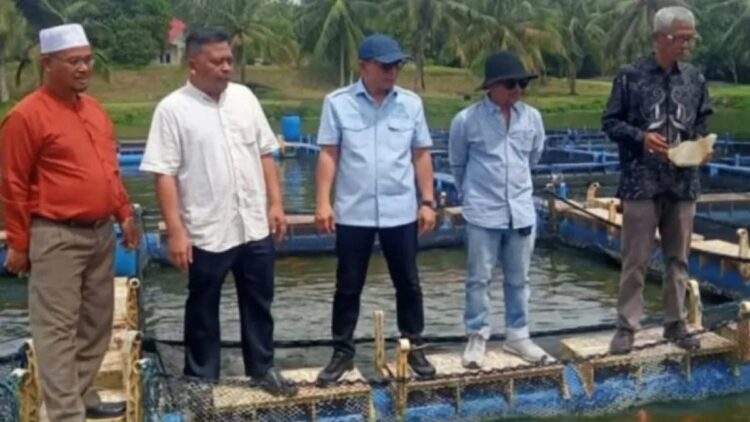 Dinas Pertanian Kota Solok saat melihat tempat pemeliharaan bibit ikan di daerah itu, Sumbar. ANTARA/HO-Diskominfo Kota Solok