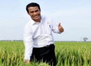 Lindungi Peternak Lokal, Mentan Setop Sementara Ekspor Karkas dan Daging Domba