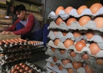 Bapanas: Harga Telur Ayam Ras Naik jadi Rp28.370 per Kg