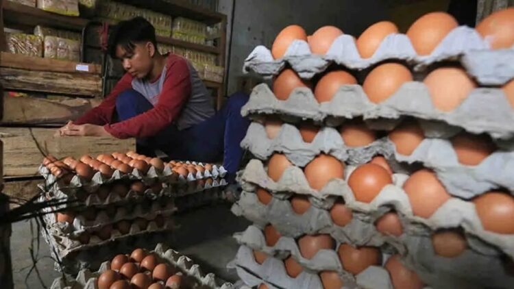 Bapanas: Harga Telur Ayam Ras Naik jadi Rp28.370 per Kg 1 Ilustrasi - Pedagang menyortir telur ayam ras untuk pembeli di Pasar baru, Indramayu, Jawa Barat, Rabu (29/12/2021). ANTARA FOTO/Dedhez Anggara/wsj.