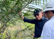 Hari Anti Korupsi Sedunia, PTPN IV PalmCo Raih Sertifikat SMAP Dari TUV Rheinland