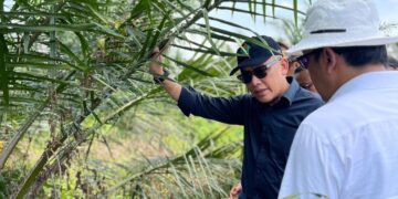 Hari Anti Korupsi Sedunia, PTPN IV PalmCo Raih Sertifikat SMAP Dari TUV Rheinland 8 Direktur Utama PTPN IV PalmCo Jatmiko Sentosa. (dok. istimewa)