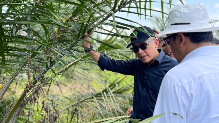 Hari Anti Korupsi Sedunia, PTPN IV PalmCo Raih Sertifikat SMAP Dari TUV Rheinland 1 Direktur Utama PTPN IV PalmCo Jatmiko Sentosa. (dok. istimewa)