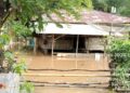 Seribuan Rumah Terdampak Banjir di Pesisir Selatan