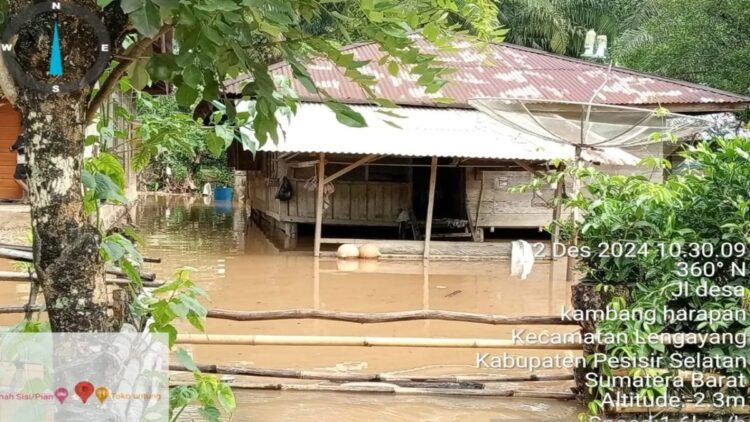 Seribuan Rumah Terdampak Banjir di Pesisir Selatan 1 Banjir melanda delapan nagari di Pesisir Selatan. (ANTARA/HO-BPBD Pessel)