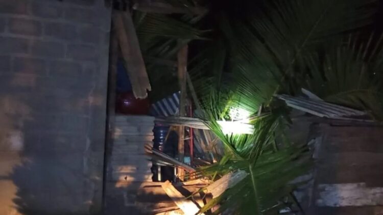 PAINAN, RADARSUMBAR.COM - Pohon tumbang di Pesisir Selatan mengakibatkan satu warga tewas. (ANTARA/HO-BPBD Pessel)