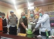 Polres Pasbar Musnahkan 788,5 Gram Sabu Barang Bukti Kasus Narkotika