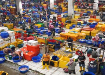 KKP Jamin Stok Ikan Aman untuk Kebutuhan selama Libur Nataru 10 KKP Jamin Stok Ikan Aman untuk Kebutuhan selama Libur Nataru