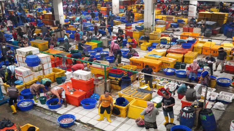 KKP Jamin Stok Ikan Aman untuk Kebutuhan selama Libur Nataru 1 KKP memastikan stok ikan aman untuk kebutuhan Nataru. (Foto: Ist)