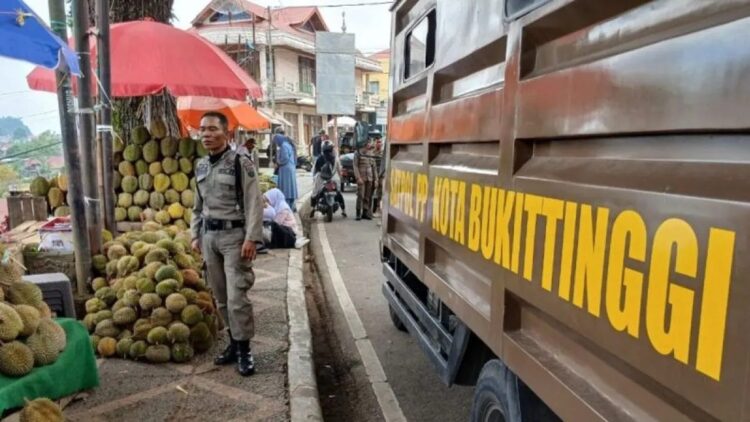 Satuan Polisi Pamong Praja (Satpol PP) Bukittinggi saat menertibkan pedagang durian yang menggelar dagangannya memakai fasilitas umum di Kota Bukittinggi, Sumatera Barat. (Antara/Al Fatah)