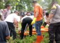 Geger! Warga Dharmasraya Temukan Mayat di Kebun Sawit