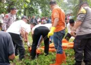 Geger! Warga Dharmasraya Temukan Mayat di Kebun Sawit