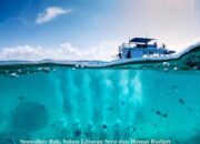 Seawalker Bali, Solusi Liburan Seru dan Hemat Budget