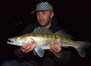 Seputar Makanan Ikan Aligator yang Perlu Anda Ketahui