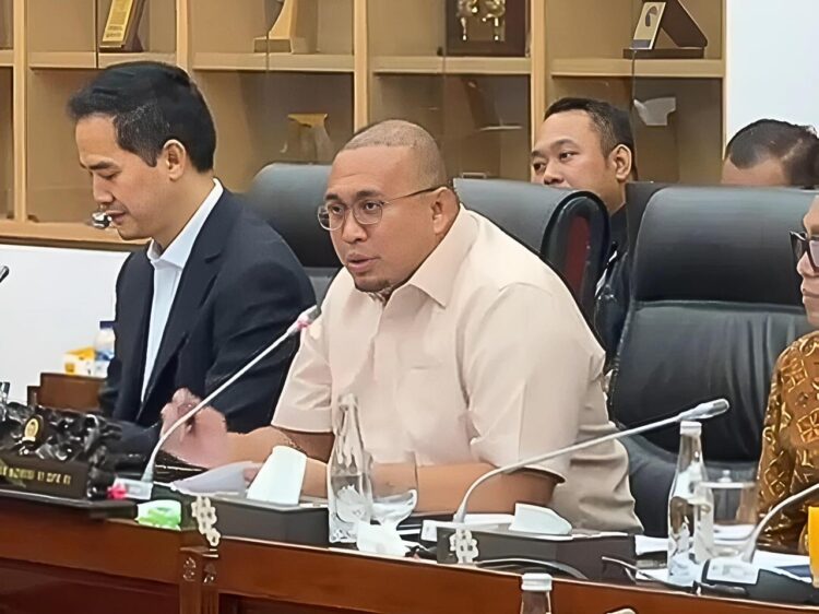 Wakil Ketua Komisi VI DPR RI Andre Rosiade saat RDP di Komisi VI DPR RI. (Foto: Tangkapan layar)